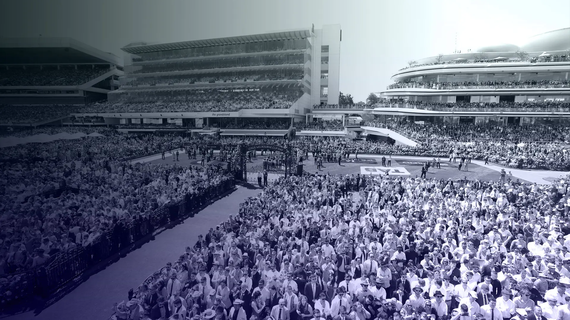 THE STORY OF THEIR LIFE